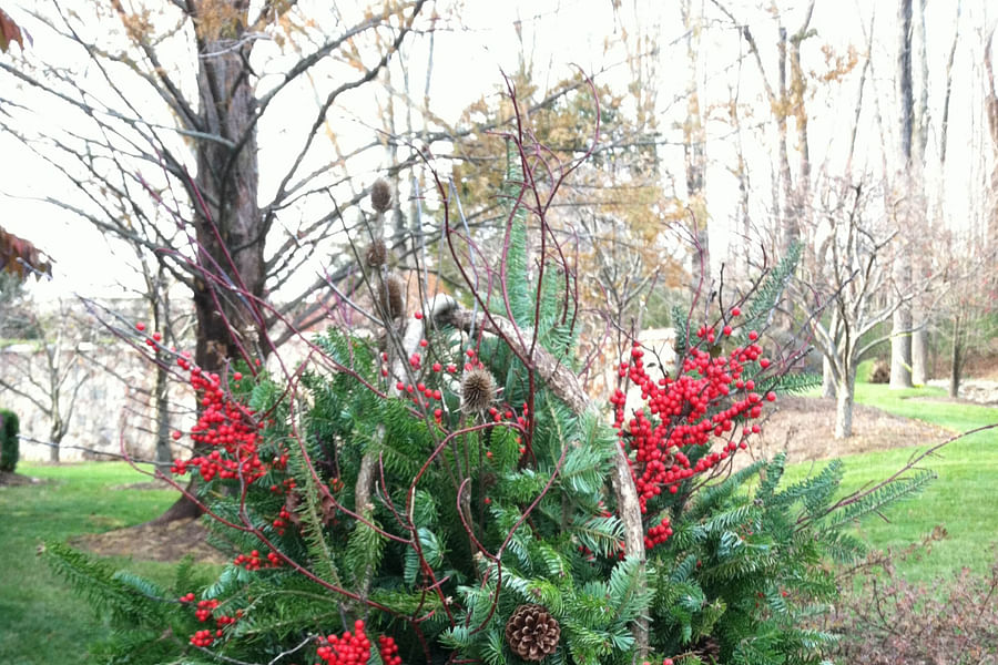 eco-friendly outdoor displays