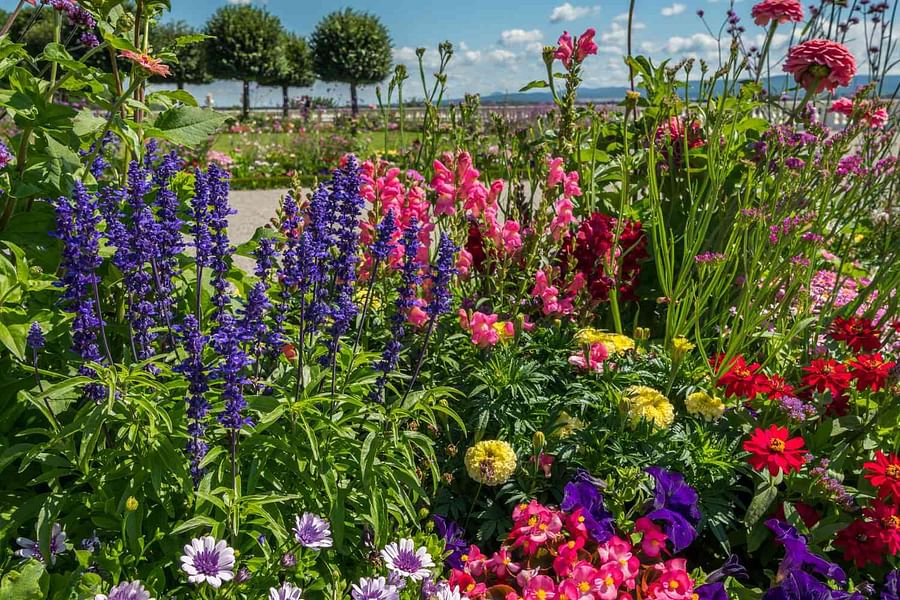 long-lasting outdoor display